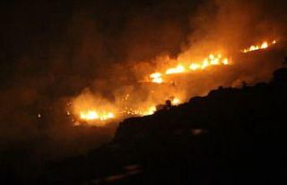 Bodrum’da çıkan yangın evlere ulaşmadan kontrol...