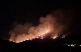 Bodrum’da otluk ve makilik alanda yangın