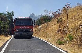 Bodrum’da otluk ve makilik alanda yangın çıktı
