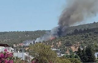 Bodrum’da yangın