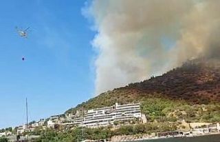 Bodrum’daki yangın kısa sürede büyüdü, mahallenin...