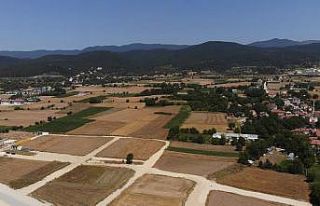 Bolu’da, hava sıcaklığı ve düşük nem yangın...