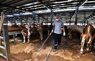 Bu ekipten uçan da kaçamıyor