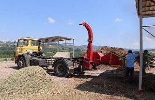 Budanan ağaçların atıkları toprağa kazandırılıyor