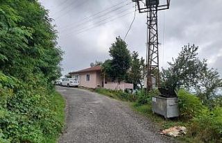 Bulaşıcı hastalık riski nedeniyle sakatatlar toprağa...