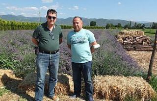 Burhaniye’de BAÇEM şifalı bitki meraklılarının...