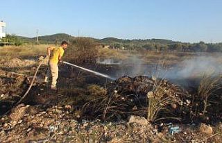 Burhaniye’de ot yangını