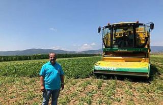 Bursa fasulyesi dünya mutfağında