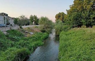 Bursa’da balık ölümleri