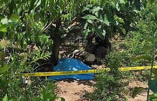 Bursa’da çapa motoru ve ağacın arasında sıkışan...