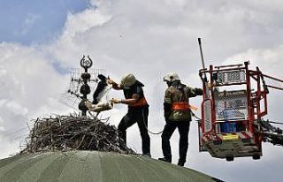 Bursa’da leylek yavrularına kubbe üstünde tedavi
