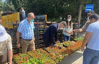 Bursa’da mezarlık ziyaretçilerine ücretsiz çiçek