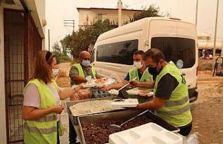 Büyükşehir 213 araç 481 personel ile yangın bölgesinde