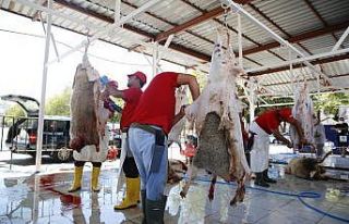 Büyükşehir 3 farklı noktada ücretsiz kurban kesim...