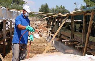 Büyükşehir bayrama hazır