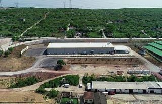 Büyükşehir’den kurban sırası çağrısı