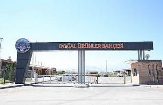 Büyükşehirden organik hizmet