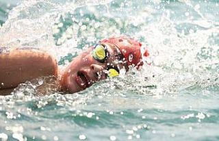 Büyükşehirden yüzme şampiyonası