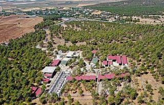 Can dostlar yeni yuvalarına kavuşuyor