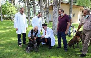 Can dostların da artık bir kimliği var