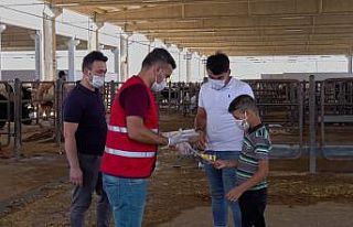 Canlı hayvan borsasında ‘kontrollü’ satışlar...