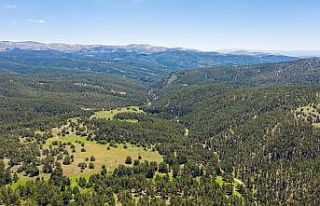 Çat Ormanları sıcak havalarda nefes aldırıyor