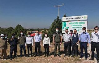 Çavdarhisar’da 15 Temmuz şehitleri anısına fidan...