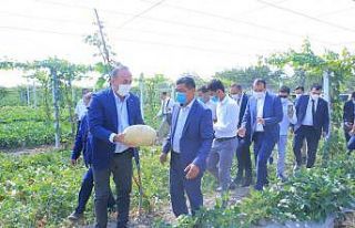 Çavuşoğlu, Özbekistan’da tarladan kavun ve karpuz...
