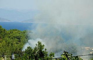 Çeşme’de bir gün arayla çıkan iki yangın kısa...