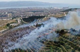 Çevreyi temizlemek isterken 20 dönümlük ormanı...