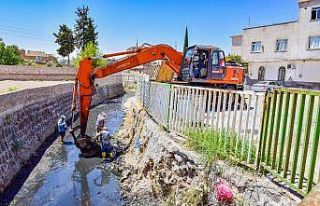 Ceylanpınar Antep Deresinde temizlik çalışması...