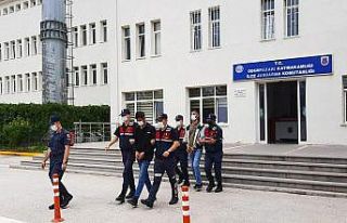 Çiftlik evinde kenevir yetiştiren 2 kişi tutuklandı