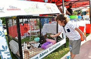 Çiğli’de 3. Pati Dostları Festivaline yoğun...