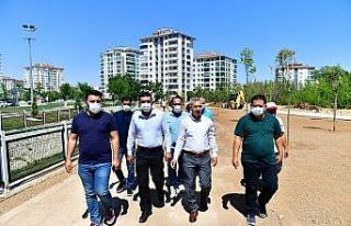 Çınar, Horata Deresi etrafındaki yeşillendirme...