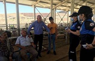 Cizre polisinden Kurban Bayramı öncesi dolandırıcılık...