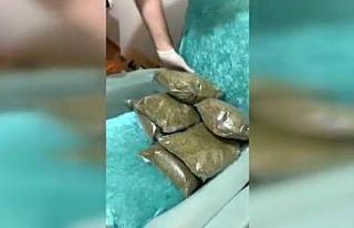 Çöp poşetinden bonzai, yemek masasının içinden...