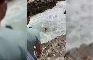 Dalgalara kapılan vatandaşı kurtarmak için zamanla...