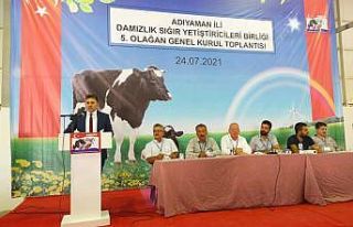 Damızlık Sığır Yetiştiricileri Birliğinde Zeki...