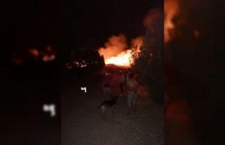 Datça’da otluk alandaki yangın söndürüldü