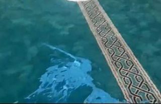 Denizli’de camiye çirkin saldırı