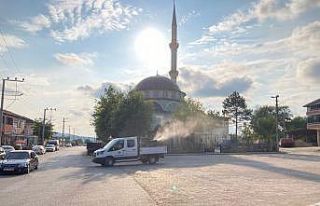 Derince’de vektörel ilaçlamalar sürüyor
