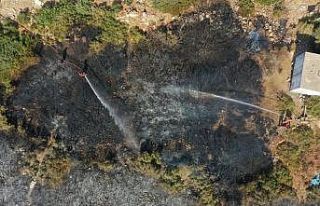 Didim’deki yangın kontrol altına alındı