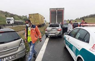 Dinlenme tesisinden kaçırdığı tırla kaza yapan...