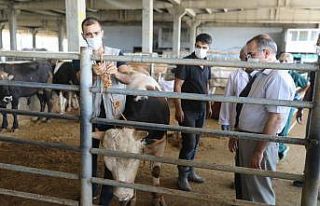 Diyarbakır’da Kurban kesim yerleri belirlendi