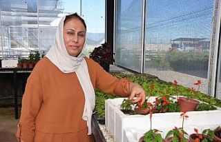 Diyarbakırlı ev hanımı Uygun, Güneydoğu’nun...