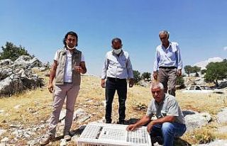 Doğaya keklik bırakıldı