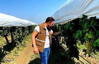 Dolu ve fırtına 11 bin dekarlık alana zarar verdi