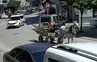 Dörtnala kaçış kamerada