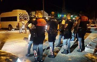 Düğün töreninde park kavgası