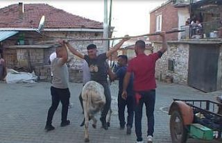 Düğüne geç gelen müzisyene eşek şakası